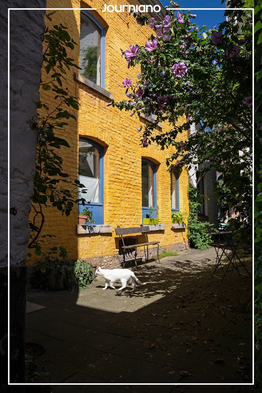 Les Impasses du Quartier Hors-Château - Intriguing Alleys in Liège